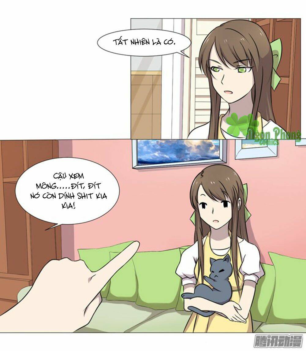 hai chú mèo totem chapter 36 17
