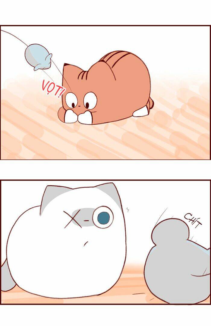 saphie: chú mèo một mắt chapter 3 8