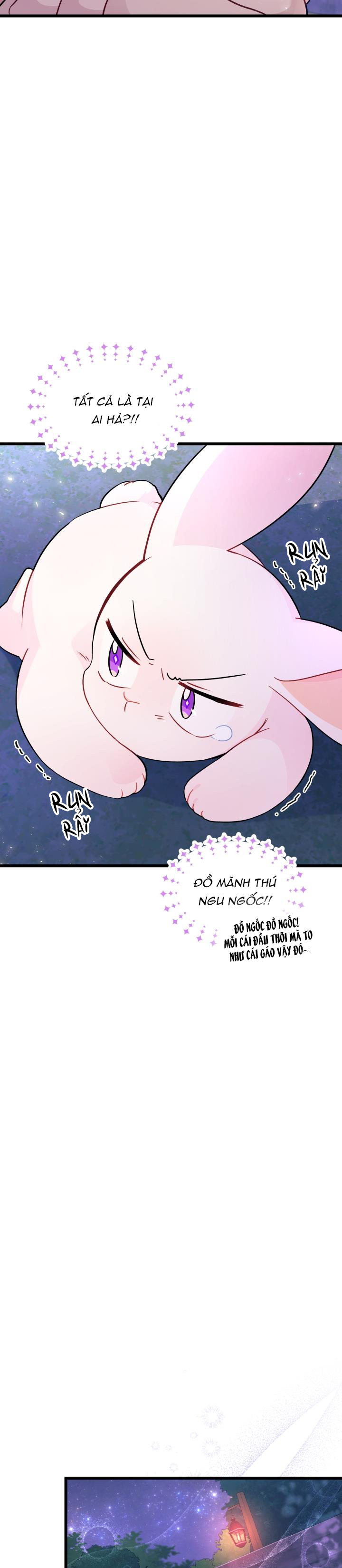 mối liên kết giữa báo đen và bé thỏ chapter 34 19