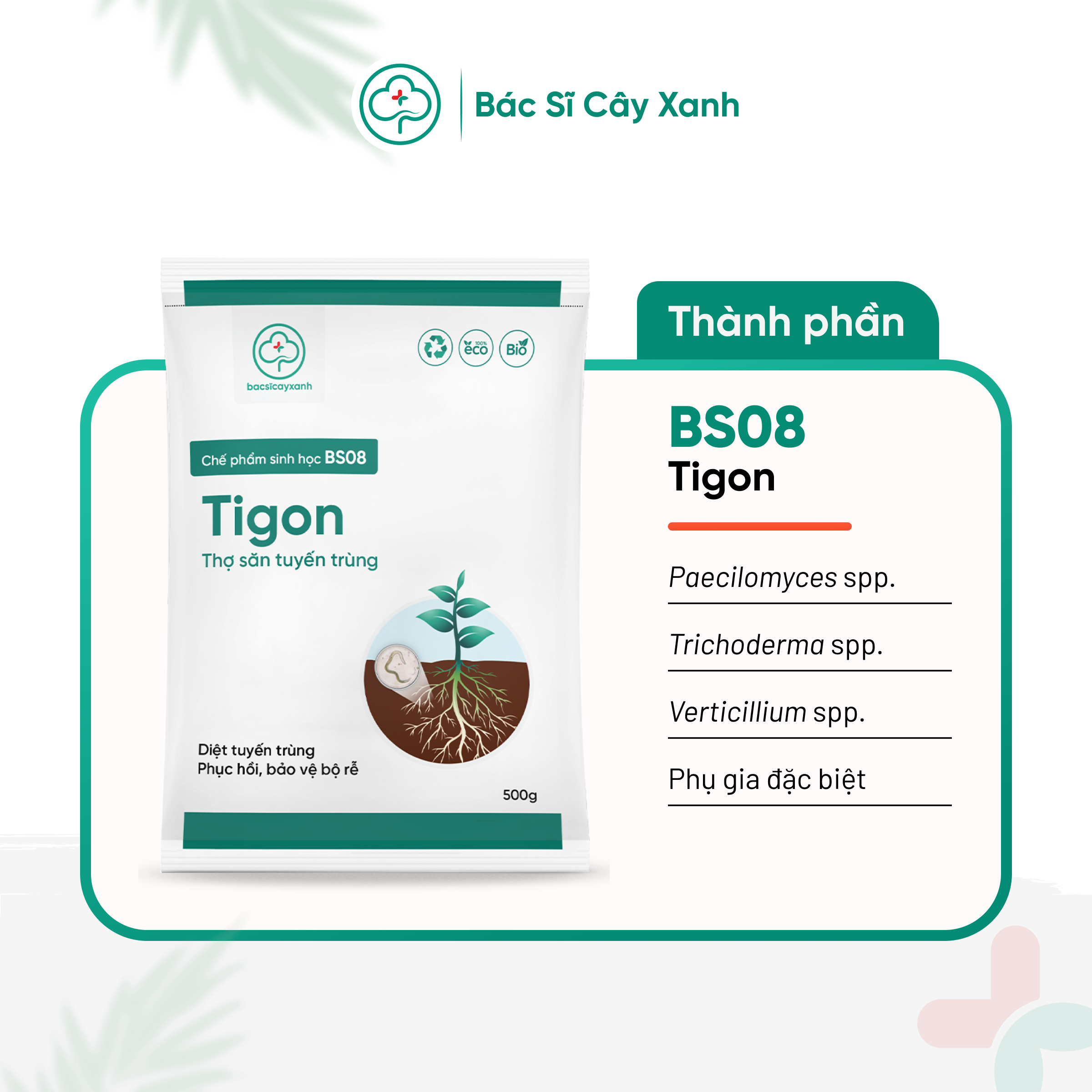 Phân bón đặc trị tuyến trùng rễ, phục hồi cây vàng lá, còi cọc, kém phát triển BS08 Tigon 500g NSX Bacsicayxanh