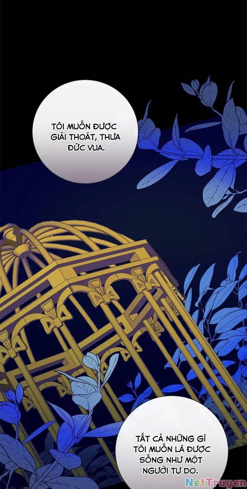 xin ngài đừng ăn tôi chapter 79 51