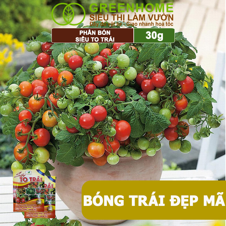 Phân Bón Siêu To Trái, GreenHome, Gói 30Gr, Thúc Trái Nhanh Lớn, Chắc Ruột, Nặng Ký, Đẹp Mã