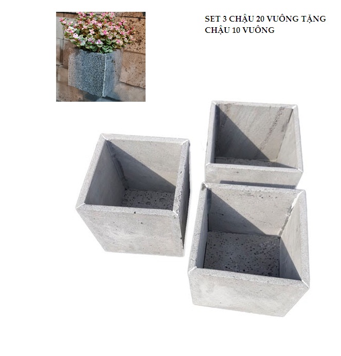 Combo 3 chậu vuông 20cm tặng kèm 1 chậu vuông 10cm trồng cây đá tổ ong tự nhiên đẹp bền vĩnh viễn