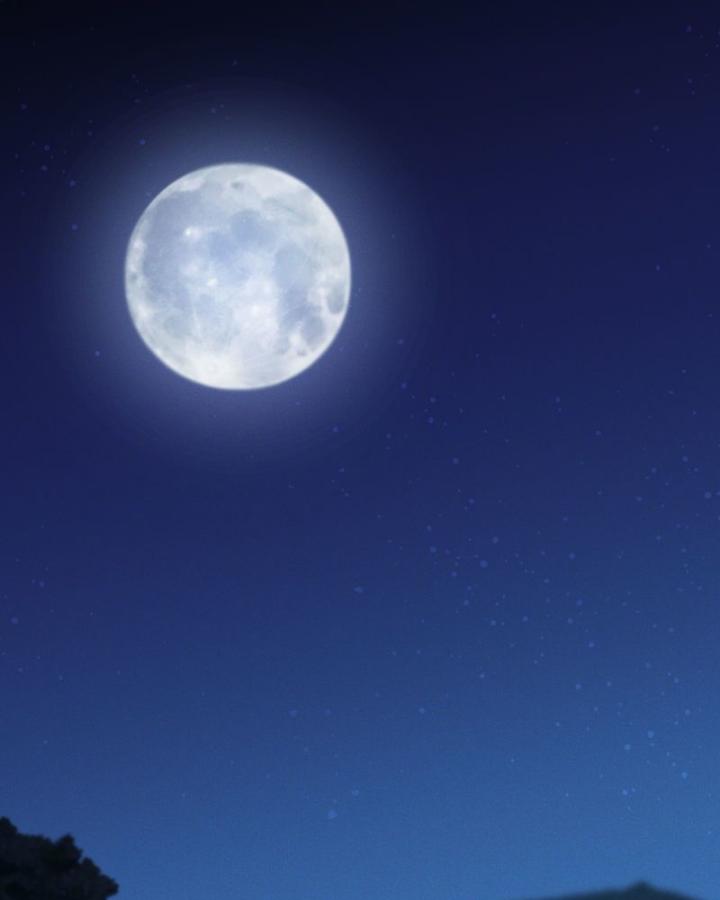 nỗi ám ảnh là tình yêu và cố chấp chapter 3 100