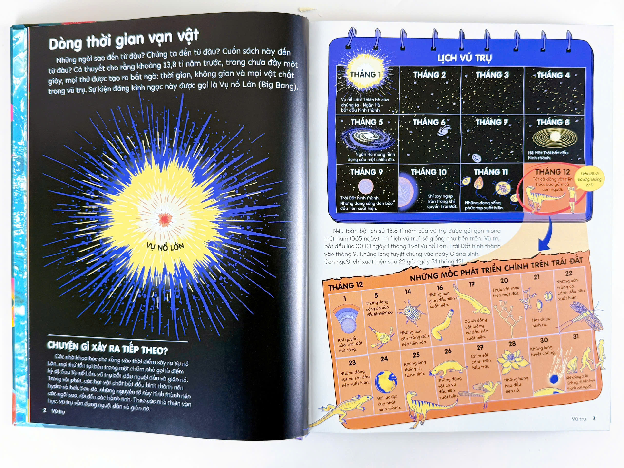 Sách - Bách Khoa Thư Bằng Đồ Họa - Bìa Cứng