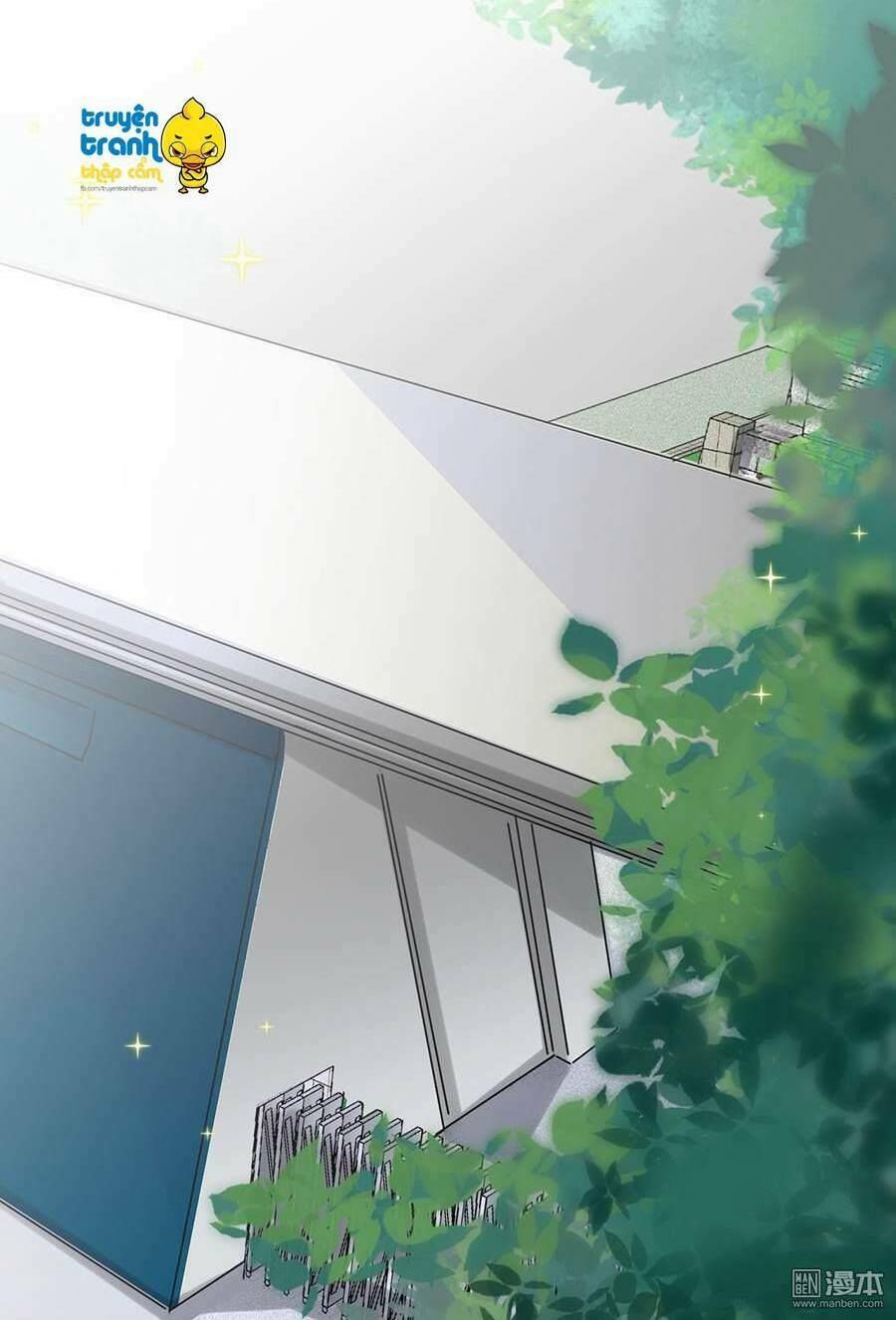 chọc tới chủ tịch tổng tài 2 chapter 7 21