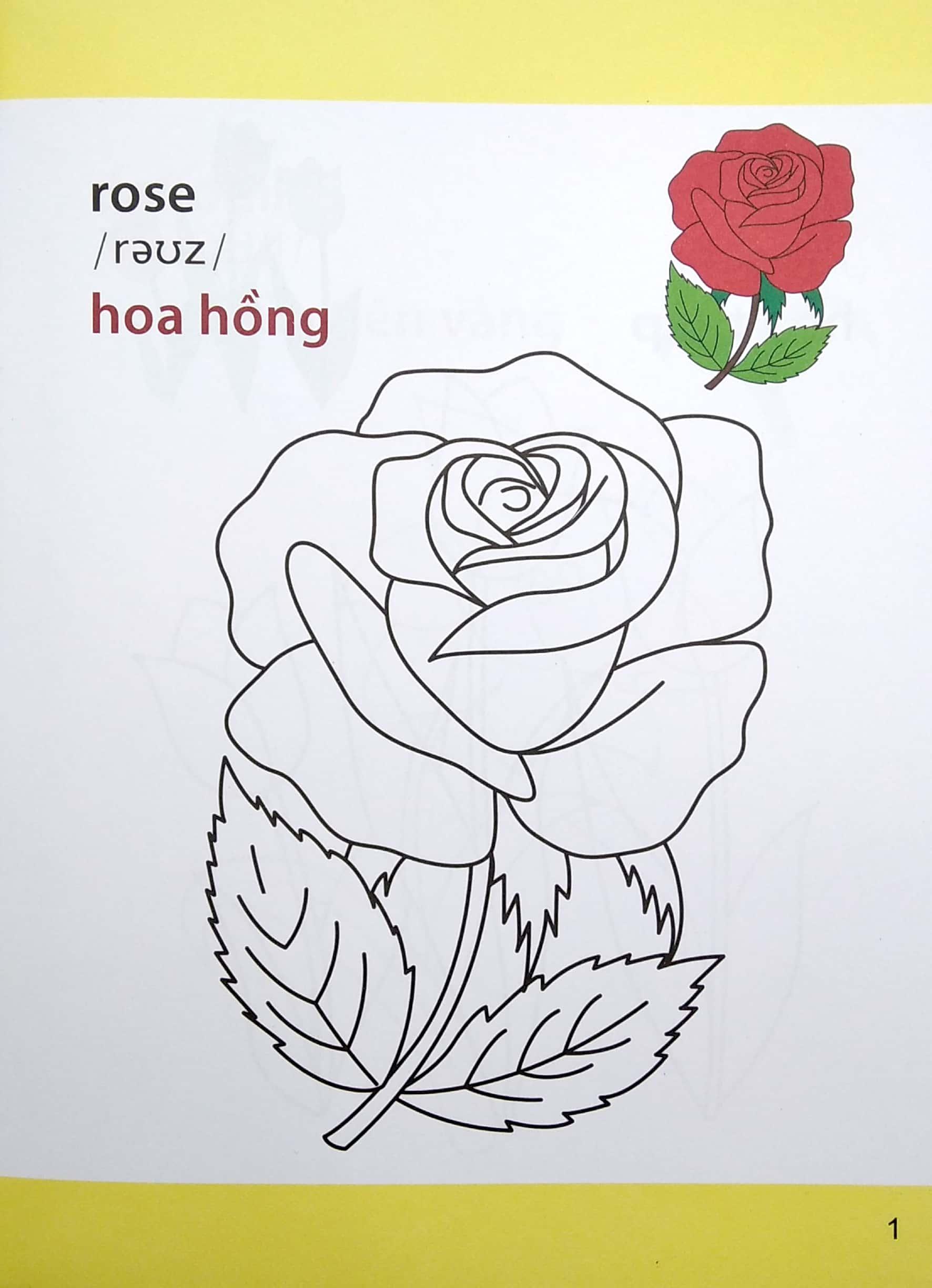 Giờ Học Tô Màu Của Bé - Các Loài Hoa (Siêu Vui Nhộn - Siêu Bổ Ích)