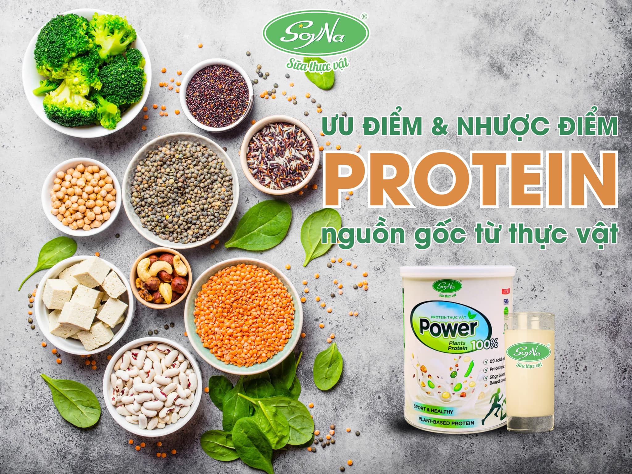 Thực phẩm bổ sung Protein Power Soyna 400gr 100% từ thực vật