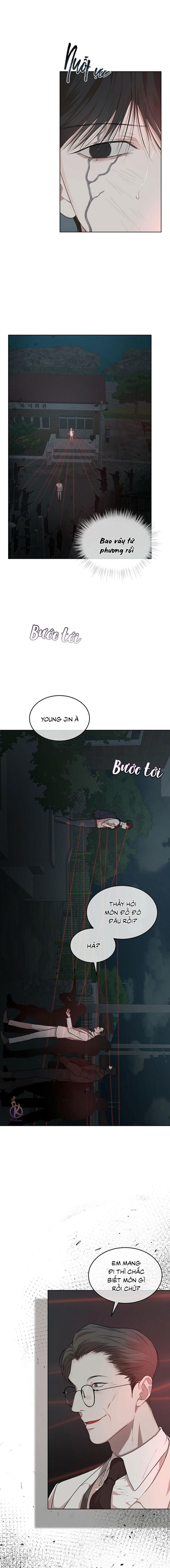 hình thái khởi sinh chapter 56 12