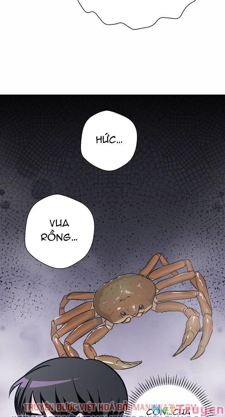 tôi lên cấp chỉ bằng cách ăn chapter 73 41