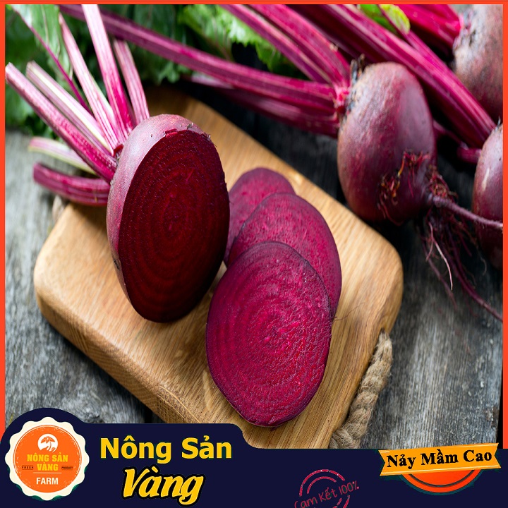 Hạt giống Củ Dền Đỏ ( Gói 5 Gram ) - Nông Sản Vàng