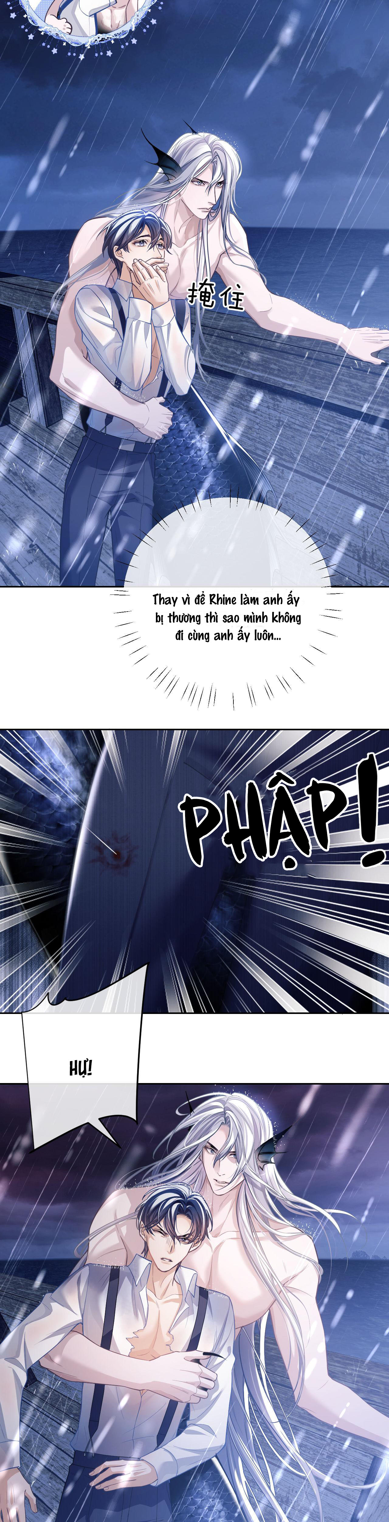 nhân ngư dessaro chapter 7 22