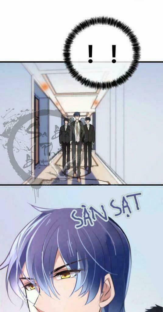 ảnh đế thần bí trộm cưới: vợ yêu, tới pk chapter 4 2