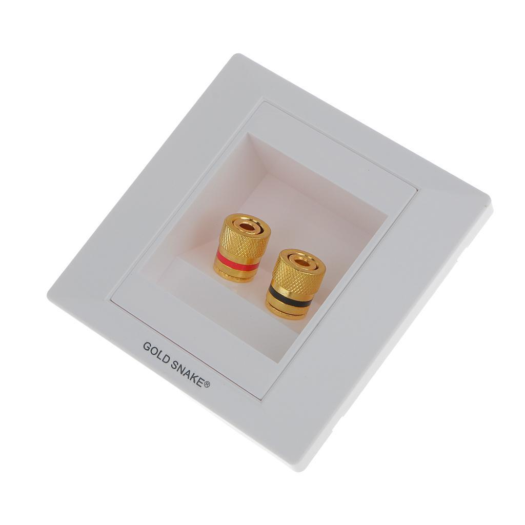 White Gold  2 Binding Post Audio  Stereo Wall Plate Panel Connector
