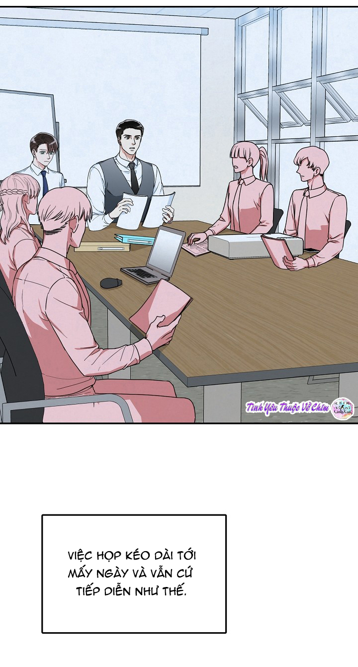 đối tác an toàn chapter 8 3