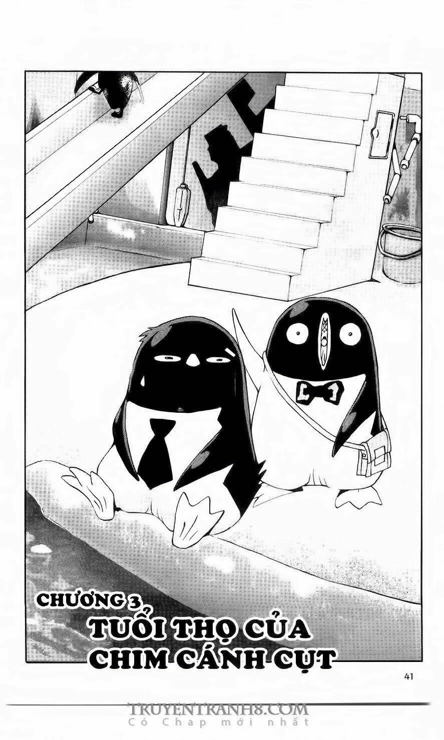 chim cánh cụt ginji chapter 55 4