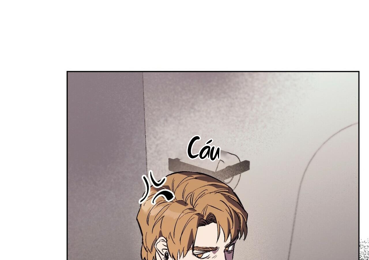 chàng dâu nhà họ kang chapter 9 90