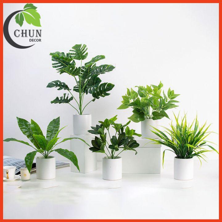 Chậu Cây Nhân Tạo Để Bàn Trang Trí Nhiều Mẫu