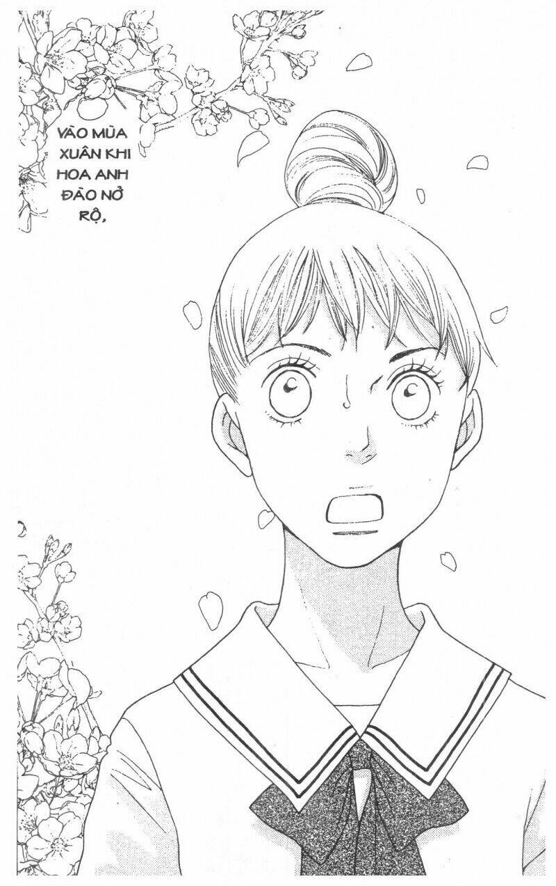 tigers and wolves chapter 1 113