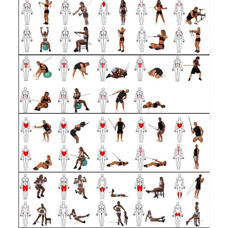 Bộ 5 Dây Ngũ Sắc Tập Full Body I Dụng Cụ Tập Gym Cao Cấp Kunosport Zn03 - CH Hương Thị Miễn Phí Vận Chuyển