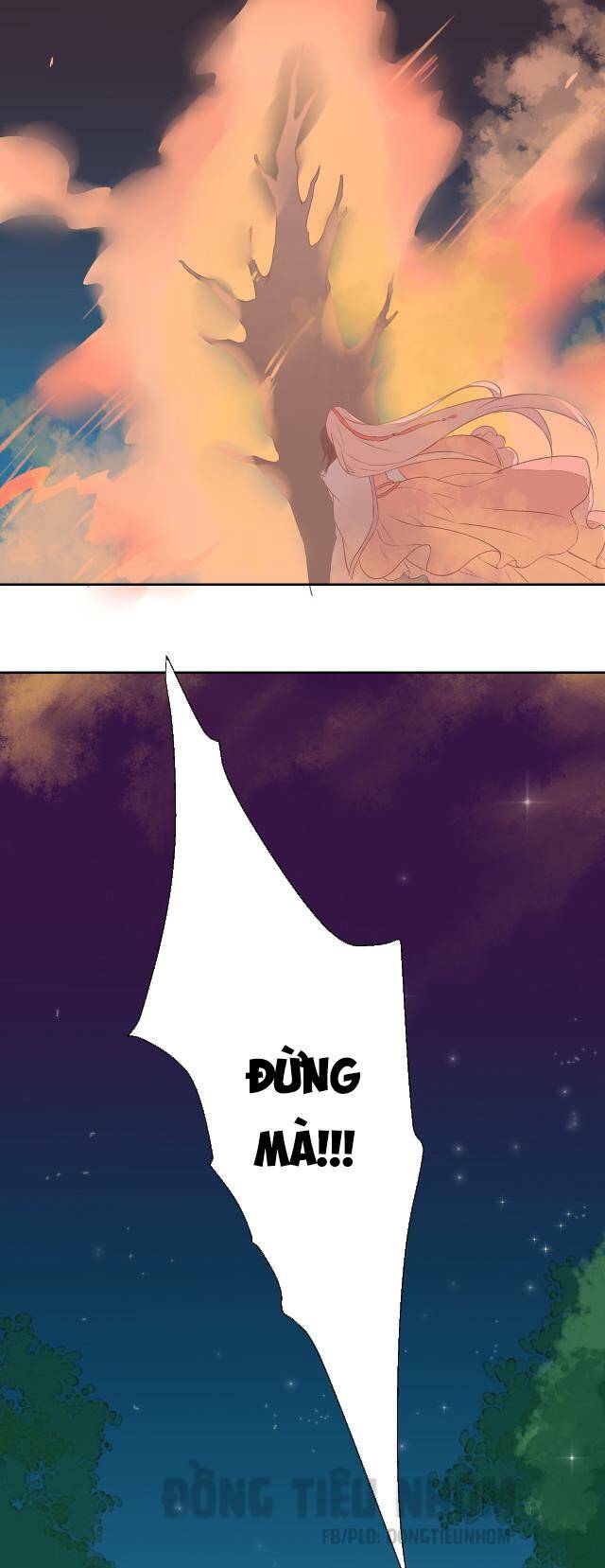 đốt đào hoa chapter 22 13