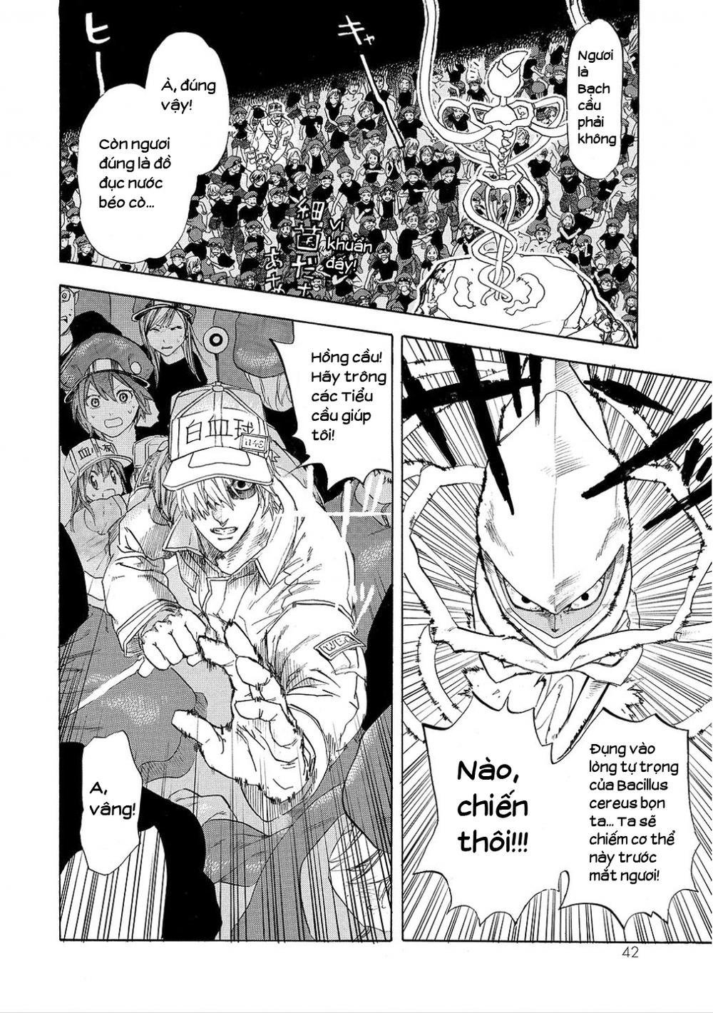 hataraku saibou! chapter 6 13