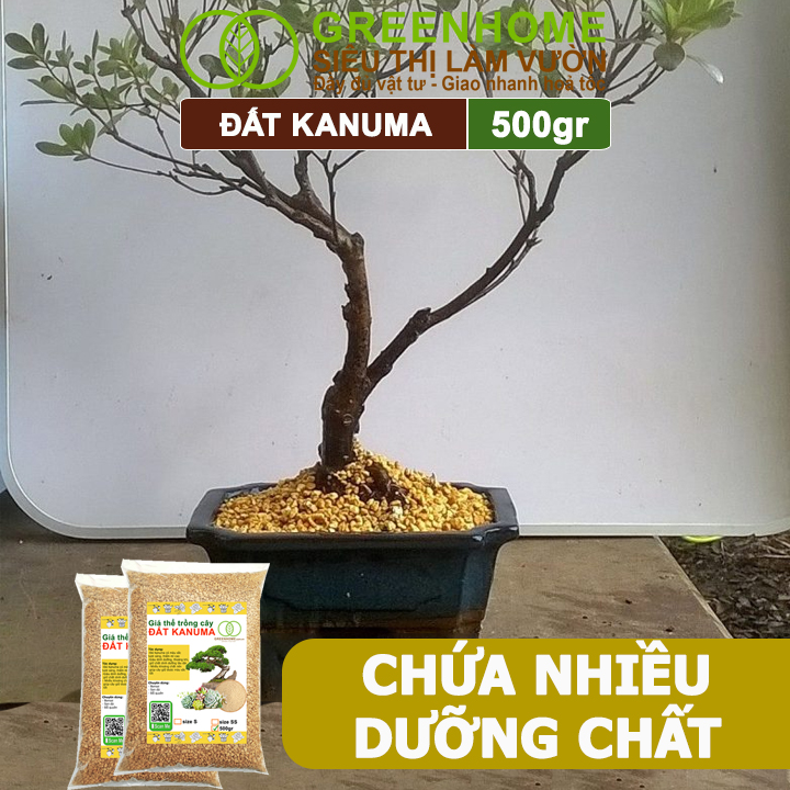 Đất Trồng Cây Kanuma Greenhome, Bao 500gr, Giá Thể Nhiều Khoáng Chất, Trồng Sen Đá, Bonsai