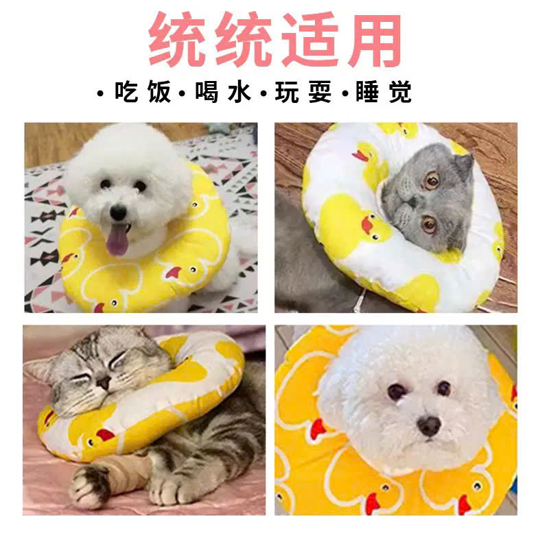 VÒNG CỔ THÚ CƯNG VÒNG CỔ LOA CHỐNG LIẾM CHO THỎ CHÓ MÈO TỪ 0.1-8KG CHO CHÓ MÈO THỎ