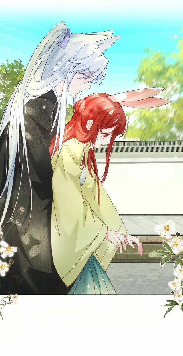 hắc hóa nam chính trực tuyến nuôi thỏ chapter 49 9