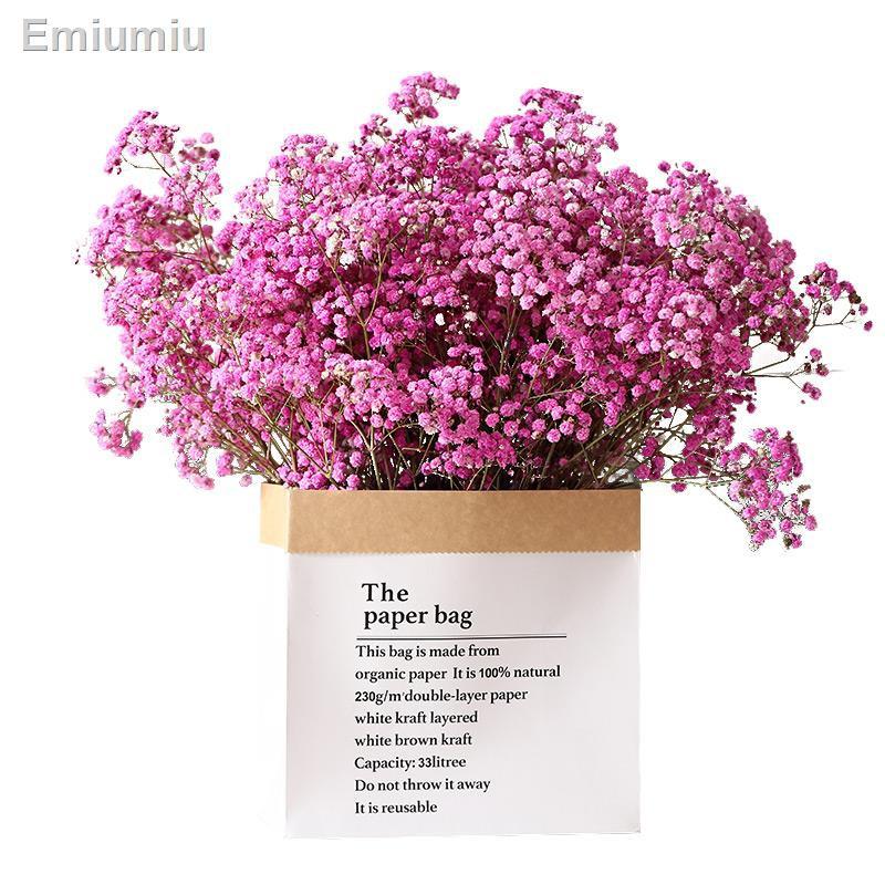 ✠Hoa gypsophila tự nhiên với đèn và hoa khô trang trí phòng khách