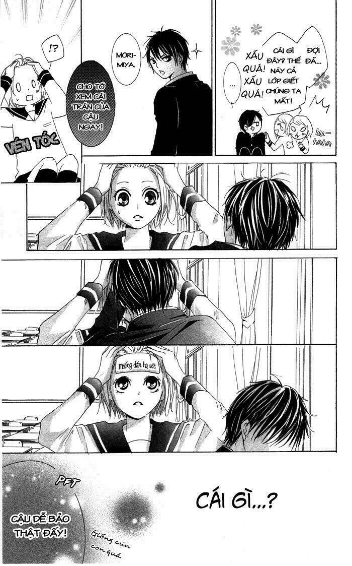 tổng hợp one shot. chapter 313 8