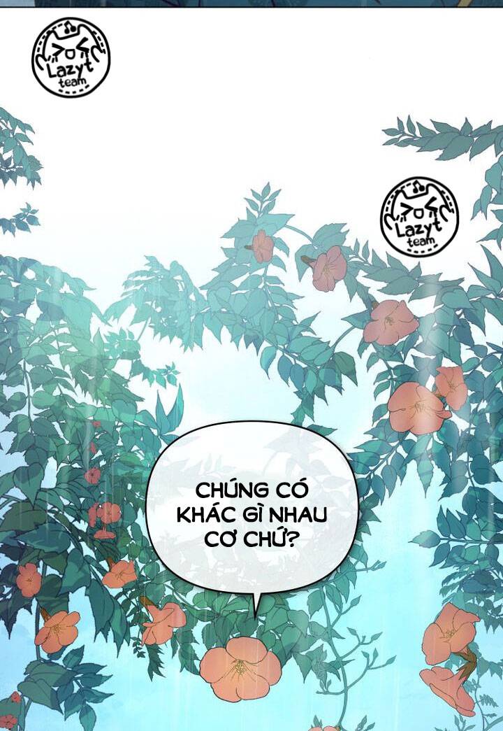 khi hoa nở chapter 9 51