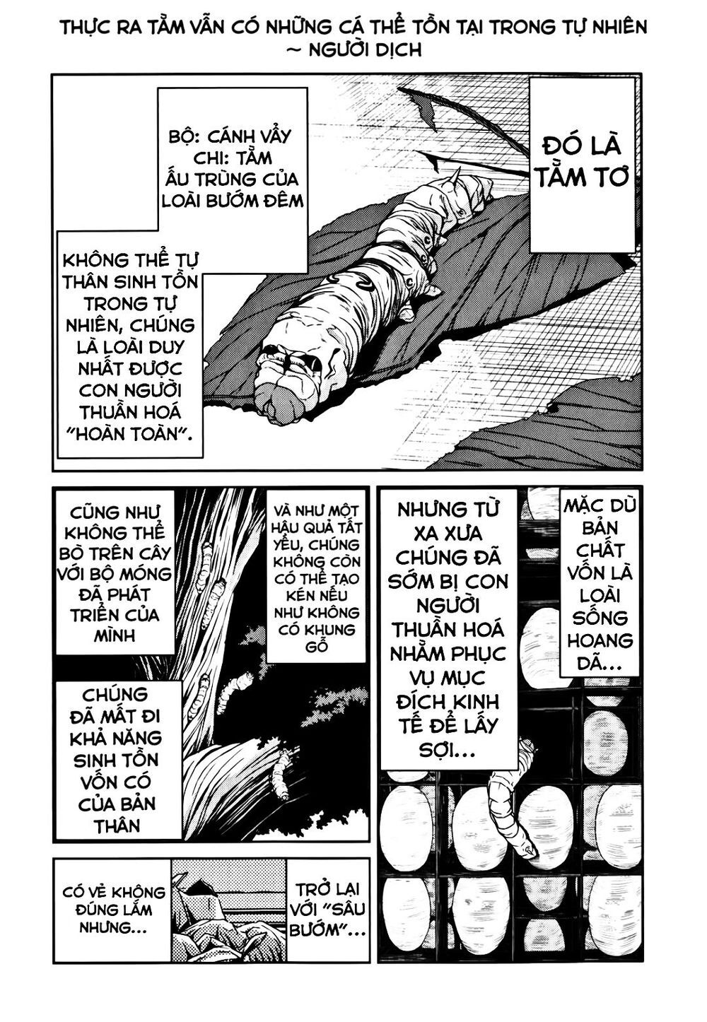 caterpillar chapter 12 5