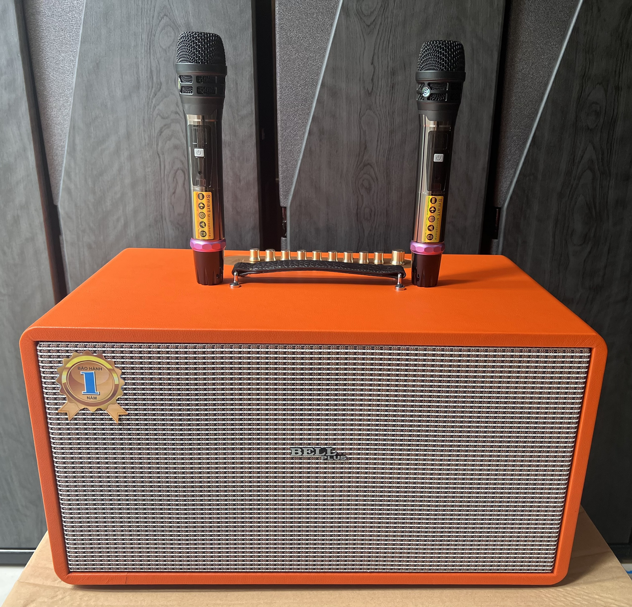 Loa kéo xách tay di động Bellplus bass 20 đôi 2 chép cao cấp
