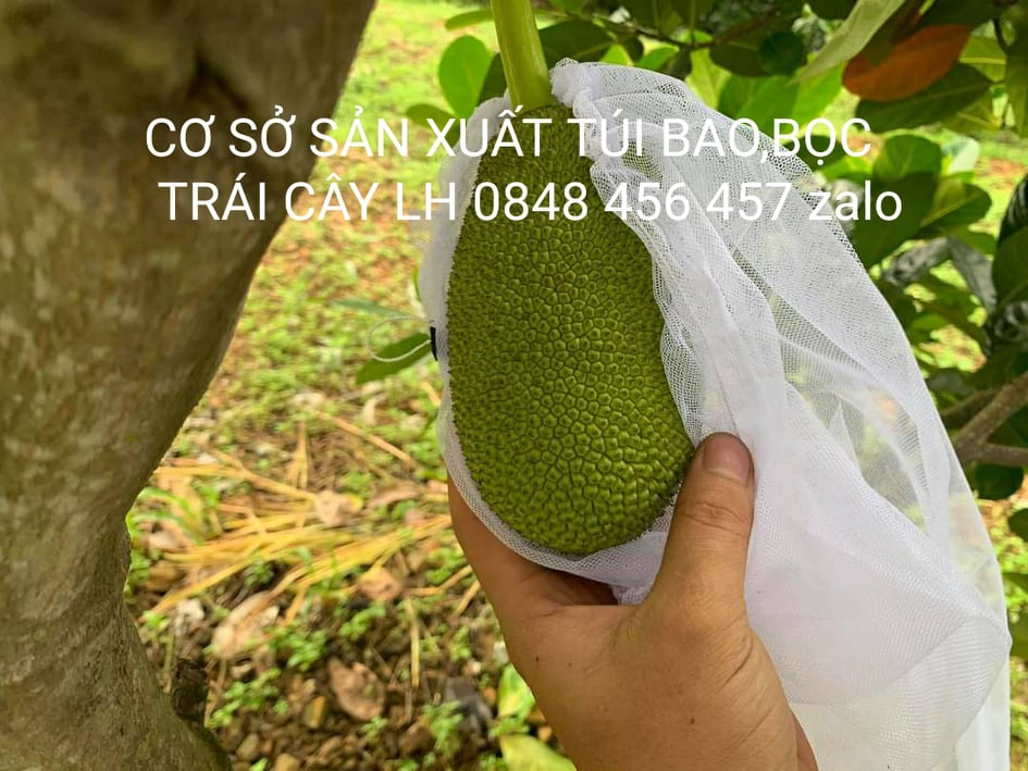 10 CÁI TÚI BAO ,BỌC MÍT THÁI LƯỚI TỐT KÍCH THƯỚC 50*70 -TÚI BAO,BỌC TRÁI CÂY
