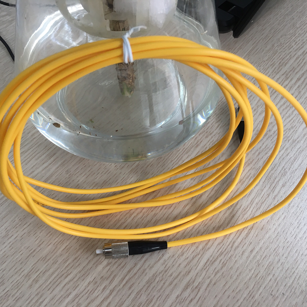 Combo Dây nhảy quang Single Mode FC-FC 3m