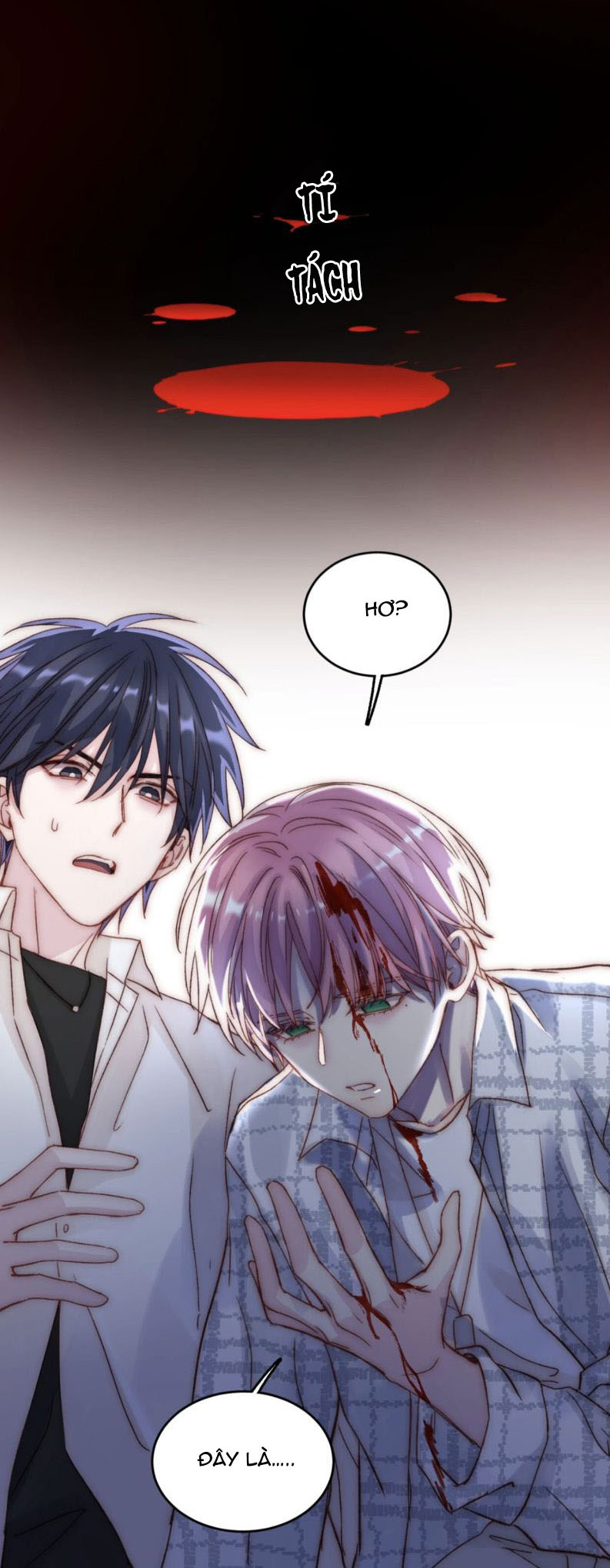 tôi phải làm 1 kẻ đại xấu xa chapter 27.5 6