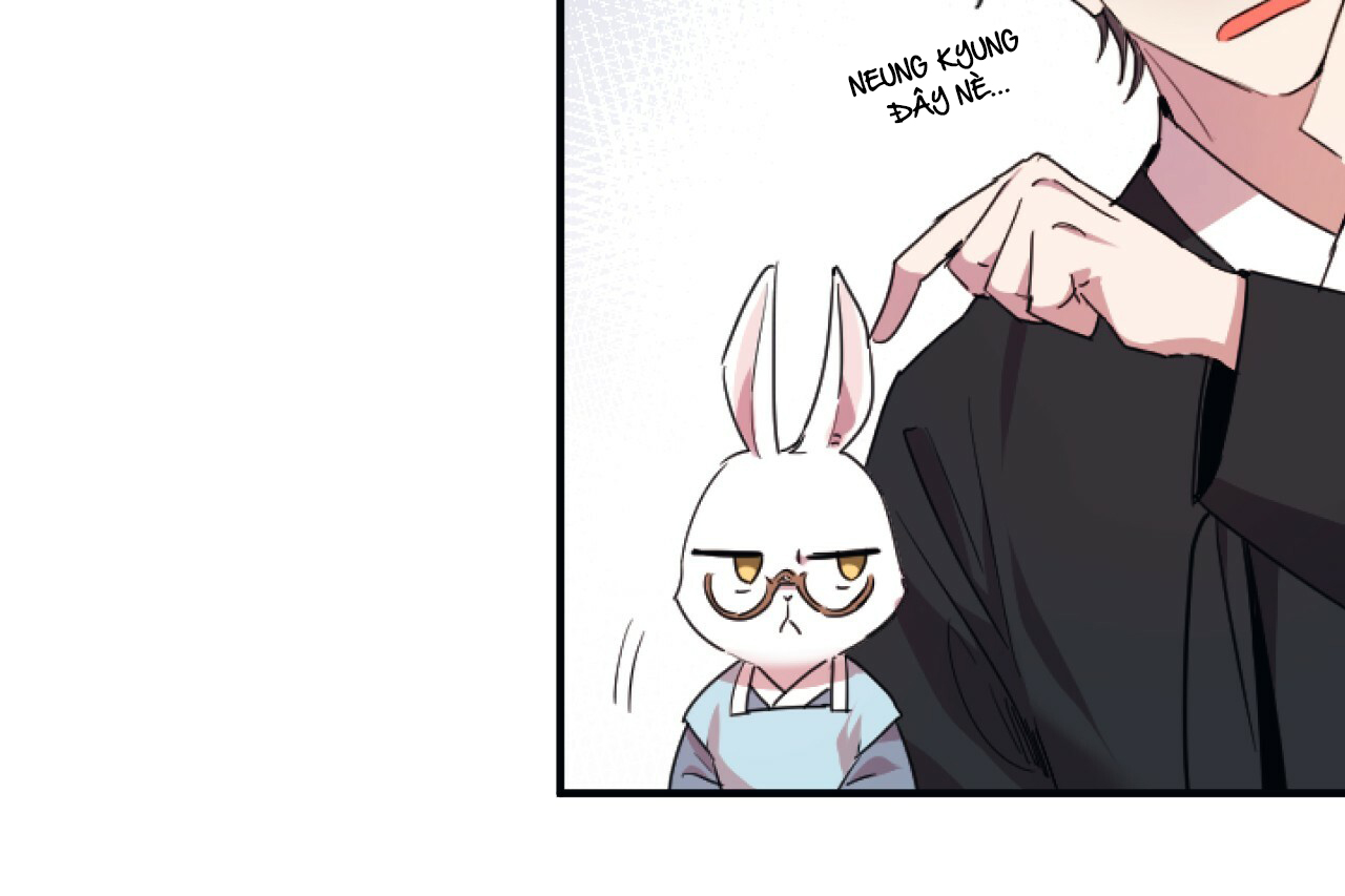 những chú thỏ của hapypy chapter 1 139