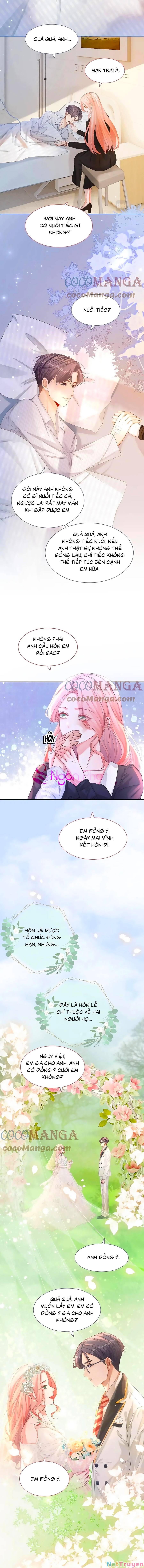 xuyên nhanh nữ phụ bình tĩnh chút chapter 85 8