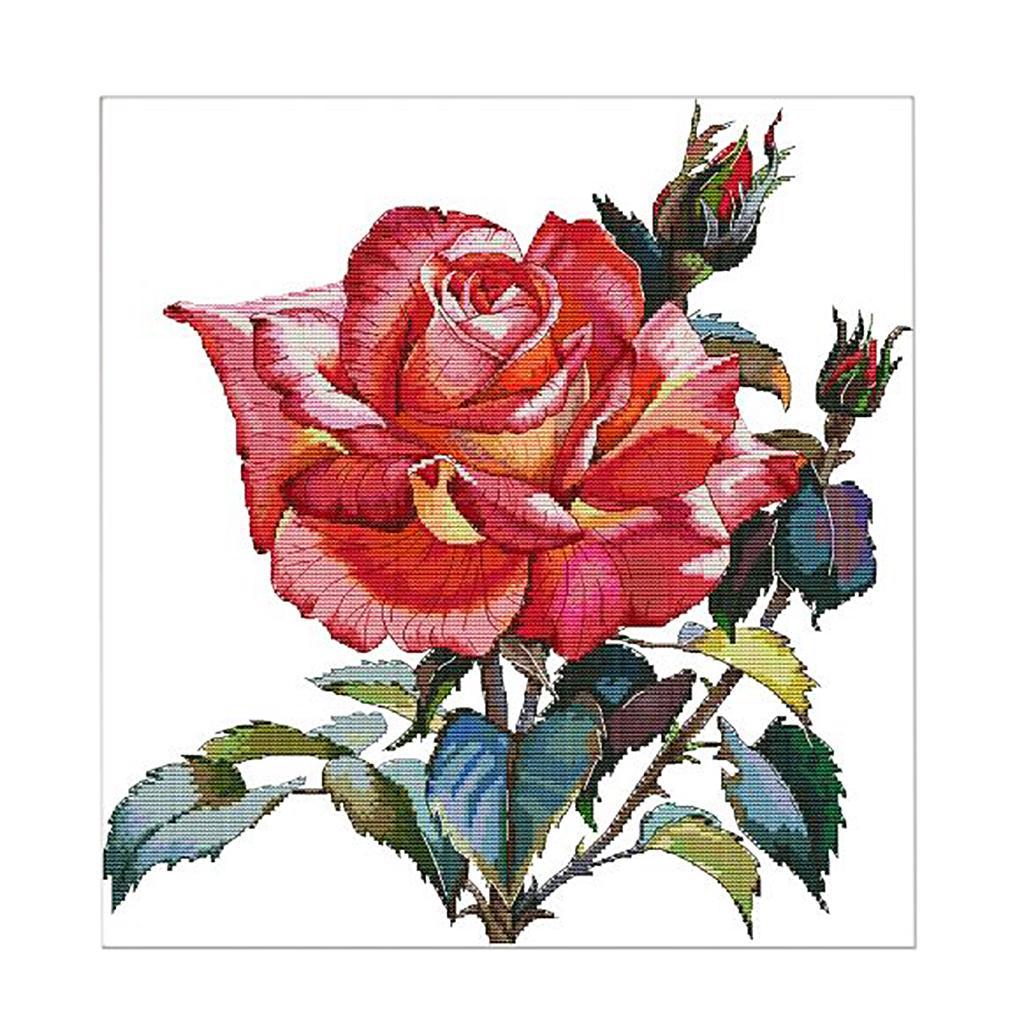 Stamped Cross Stitch Rose Flower Pattern Christmas Gifts 11CT 54x56cm