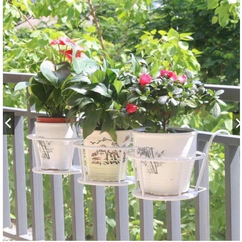 Combo 10 giỏ treo, móc treo trồng cây ban công