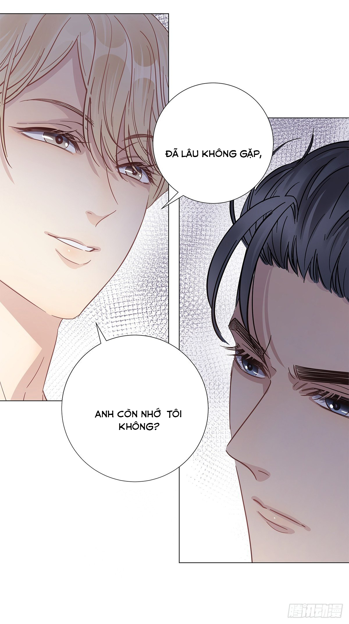 hôm nay nam giả trang nữ vẫn chưa được cầu hôn! chapter 20 16