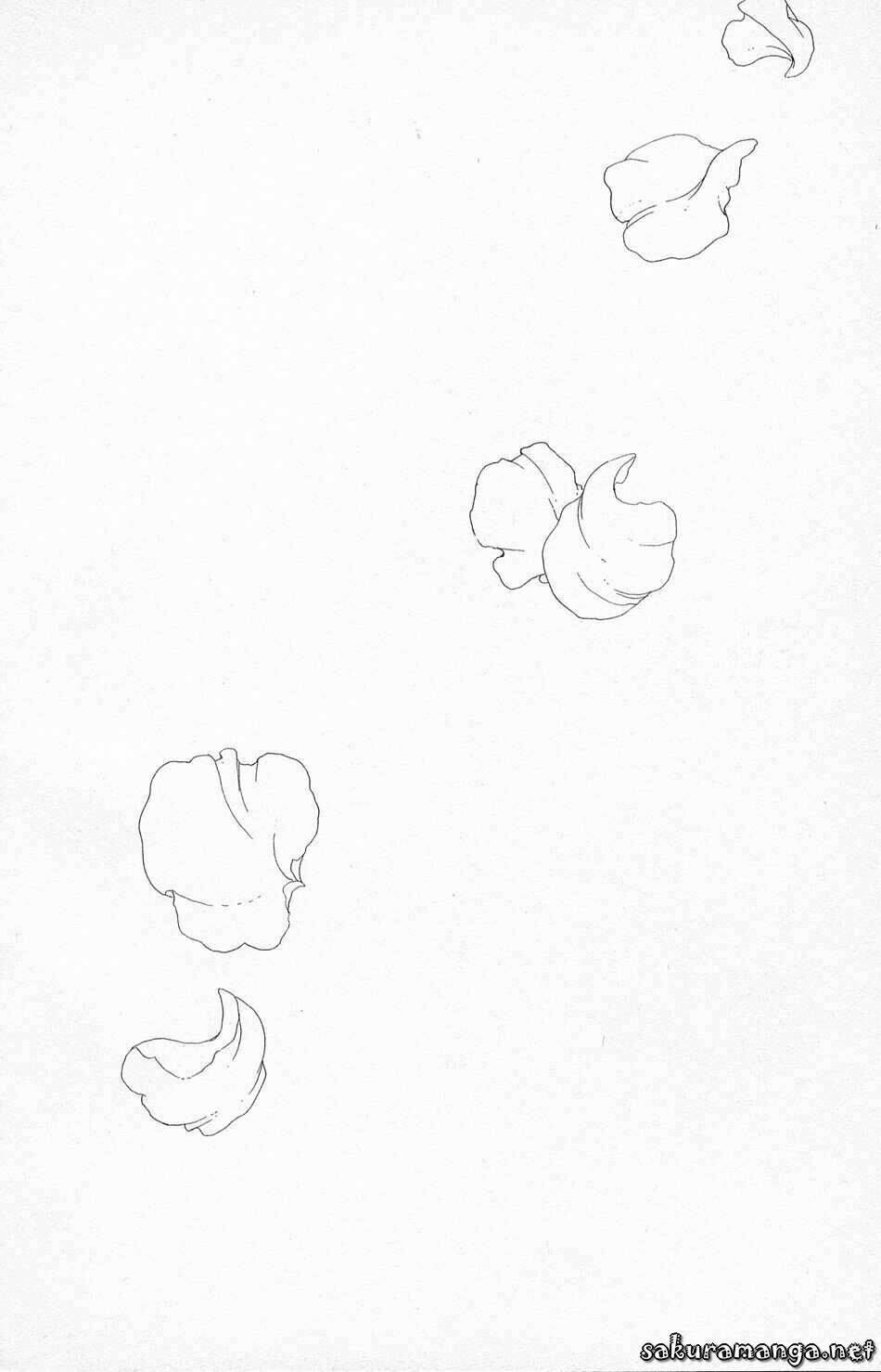 sakura bolik chapter 2 1