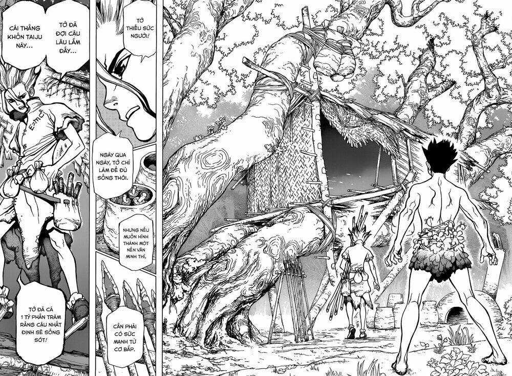 dr.stone - hồi sinh thế giới chapter 1 45