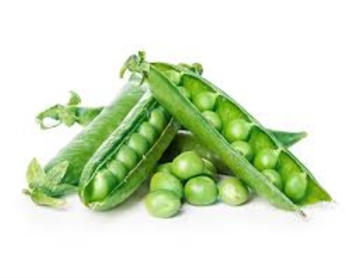 25 gram hạt giống đậu hà lan có thể ăn lá và lấy quả