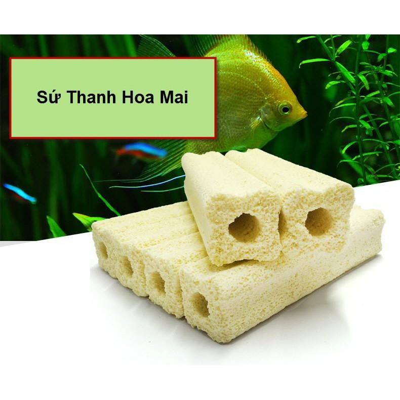 Sứ Thanh Hoa Mai
