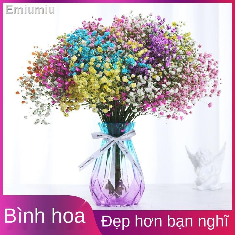 ▨◎▲Gypsophila hoa khô bó hoa thật khô số lượng lớn trong không khí trang trí đồ trang trí phòng khách