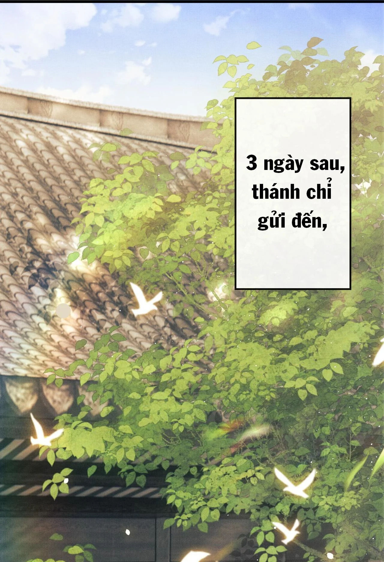 tướng quân luôn tự coi mình thành thế thân chapter 15 1