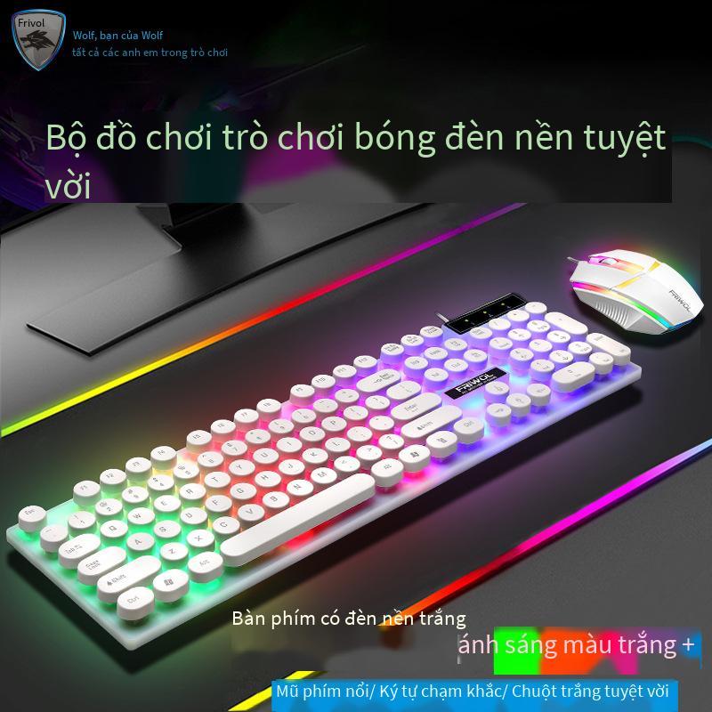 Phong cách mới nhất Youlang W10 có dây bàn phím và chuột thiết lập dạ quang thi đấu điện trò chơi máy tính để bàn máy tính xách tay văn phòng kinh doanh USB