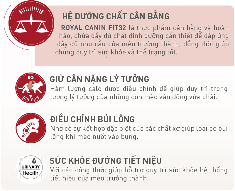 Hạt Royal Canin Cho Mèo Trưởng Thành Fit 32